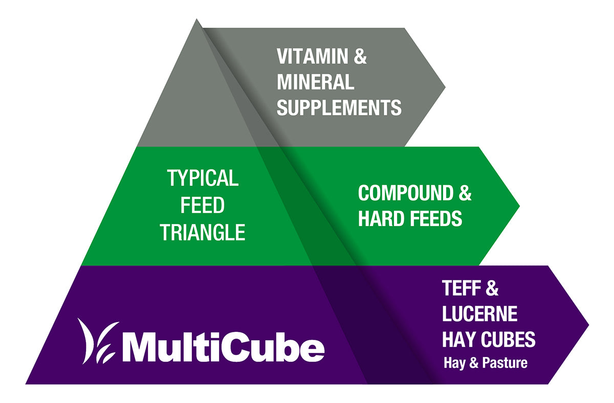 MultiCube - Teff & Lucerne Hay Cubes