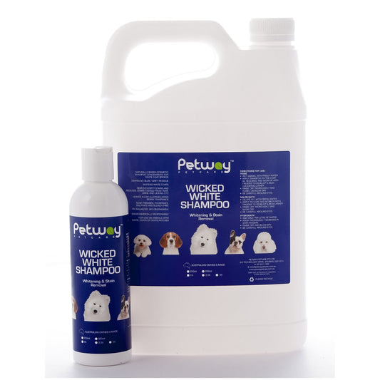 Petway Wicked White Whitening & Stain Removal Shampoo - 5L