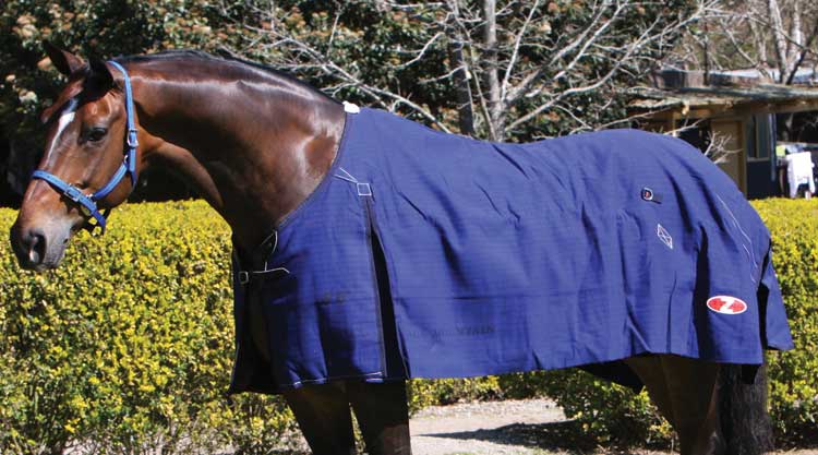 Zilco - Blue Mountain Rug