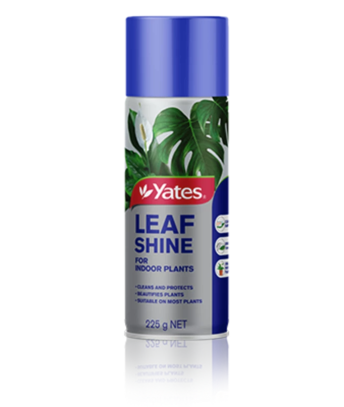 Leaf Shine Spray