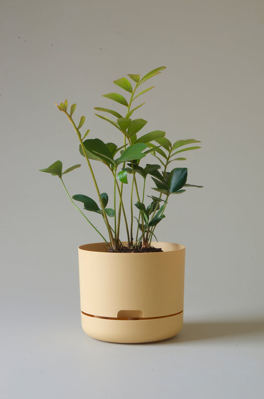 Mr Kitly Self Watering Pots 215mm