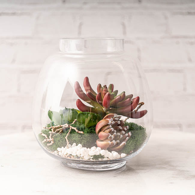 Round Glass Terrarium Bowl Clear