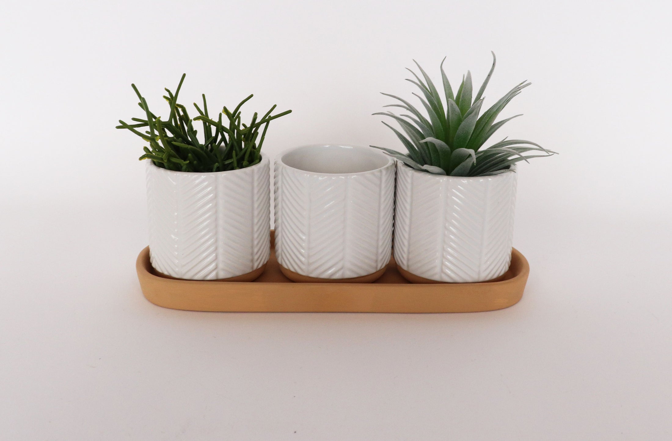 Zari Planters on Saucer H8cmx26cm