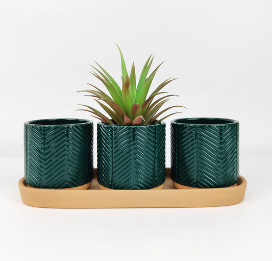 Zari Planters on Saucer H8cmx26cm